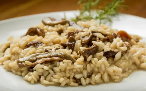 Kremowe risotto z grzybami na białym talerzu, ozdobione gałązką rozmarynu.