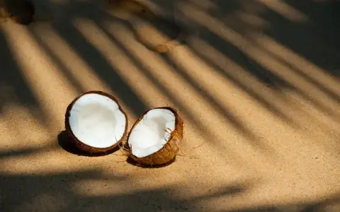 Połówki kokosa na piaszczystej plaży w cieniu liści palmowych.